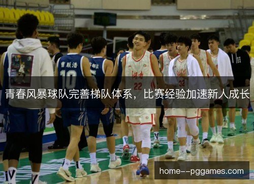 青春风暴球队完善梯队体系，比赛经验加速新人成长
